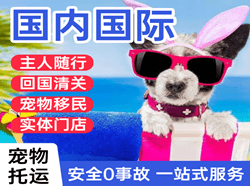 青岛胶东航空运输国际宠物托运 【国